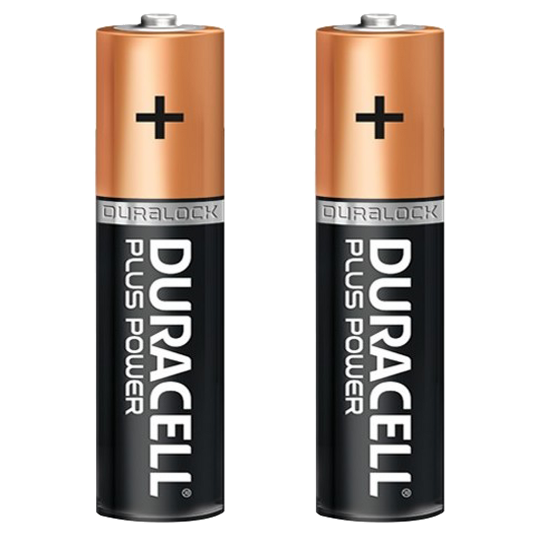 Duracell AA Batteries x 2