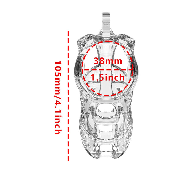 Rimba P-Cage PC11 Large Transparent